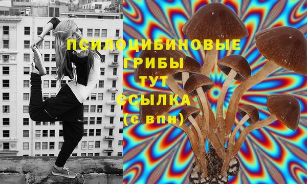 а пвп мука Белокуриха